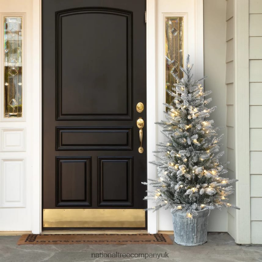 Trees | National Tree Company Pre-Lit Artificial Christmas Entrance Tree Snowy Alpine Fir with Warm White LED Lights Plug in 45 ft F2L4F167